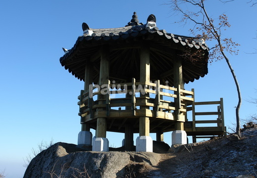 동패동 삽다리 주변